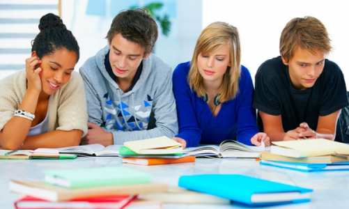 Transnational Network of Schools